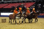 Quadrille - 00022
